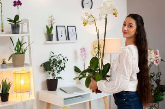 Transform Your Space with Blomus Home Accessories: A Complete Style Guide